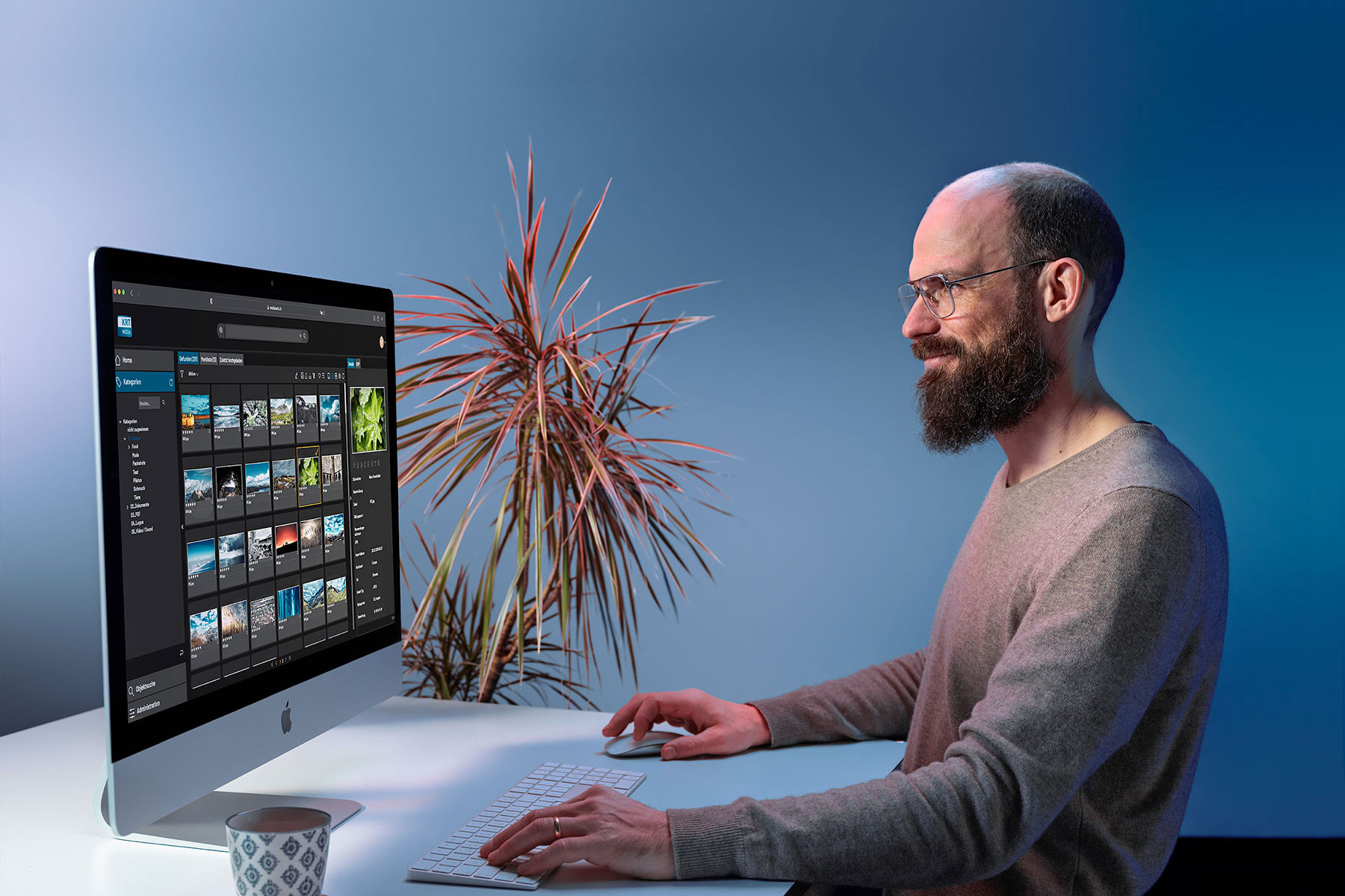 Media Asset Management